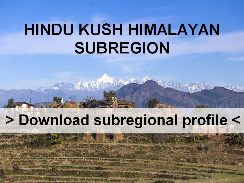 Download HKH subregional profile